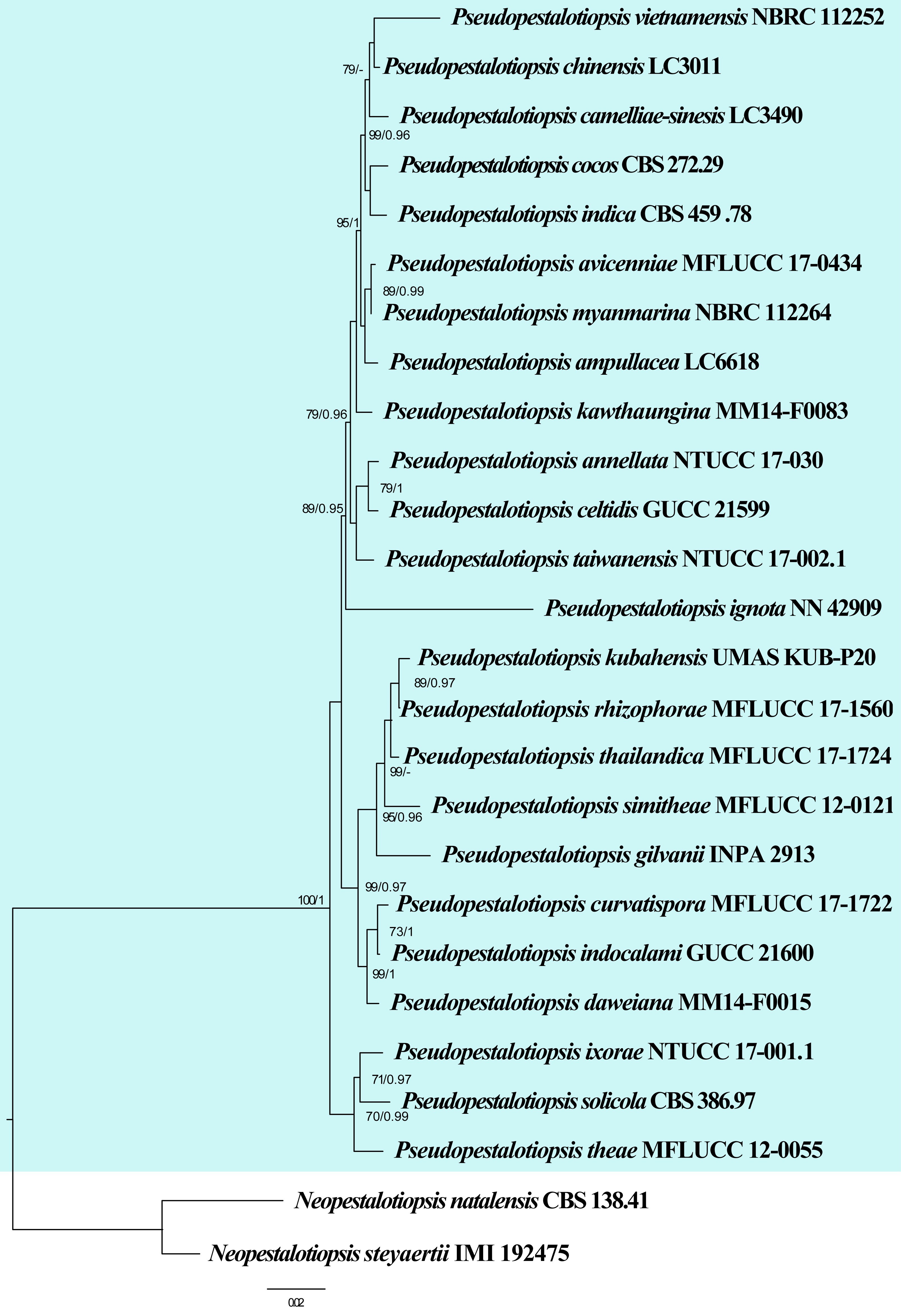 Figure 34